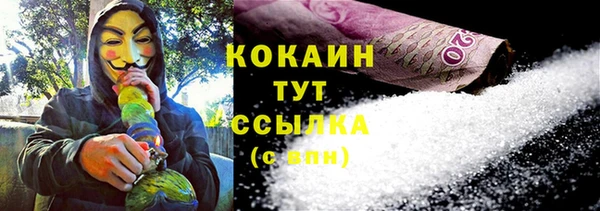 хмурый Алексин