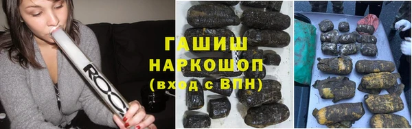 хмурый Алексин